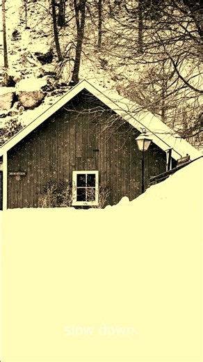 Peaceful Snowfall • Slow Down • StillHour #Shorts