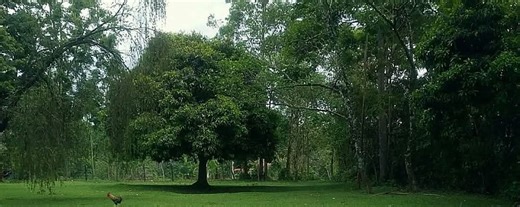 Signs of Overpromising