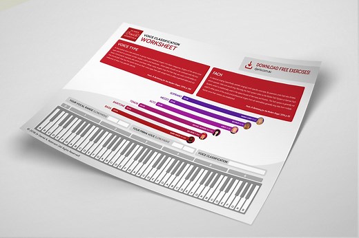 Voice Classification Worksheet