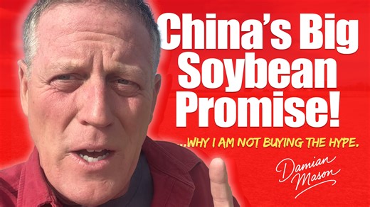 87K views · 1K reactions | China just pledged to buy 25 million metric tons of U.S. soybeans every year for the next three years. But if you think that’s a guaranteed win for American farmers… think again.  Drop a comment: Do you think China will follow through this time, or is this just another trade headline? | Damian Mason | Facebook
