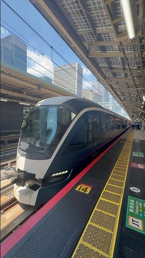 【4K】特急踊り子33号 東京駅発・伊豆急下田行き｜東海道線ホームの臨場感＆電車音ASMR｜E257系リニューアル車両