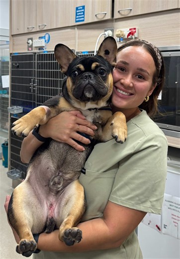 Tag your vets 😂 #nursing #nurse #pov #viral #vet