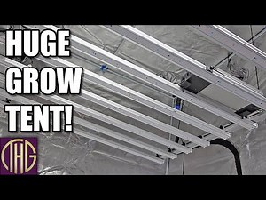 Is This Huge Grow Tent Worth It? :: Spider Farmer 5' x 5' x 6.5' Grow Tent Setup & First Thoughts