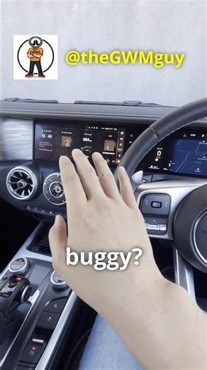 Rebooting or resting your Tank300 head unit to resolve problems such as 360 camera fault