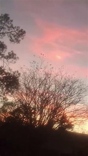 absolutely beautiful sunset here in Albany GA!