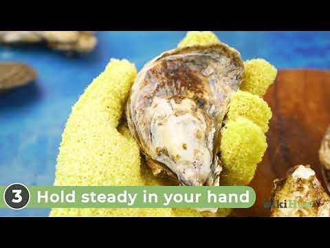 How to Clean Oysters
