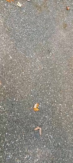 Kija Anonymous a TikTokon