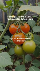 257K views · 101 reactions | Tools for stress, sleep, and more — right in your pocket. | Headspace | Facebook