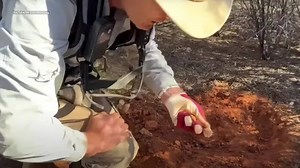 Aussie prospector finds $40,000 gold nugget