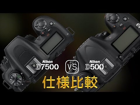 Nikon D7500 と Nikon D500 の仕様比較