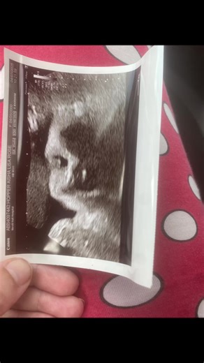 aishalisarose on TikTok