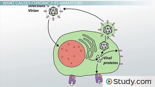 Chronic Inflammation: Long Term Consequences