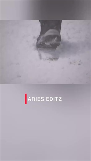 Exploring the New Netflix Series: Spring Fever