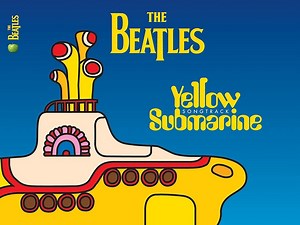 Mini-Sub: Introduction