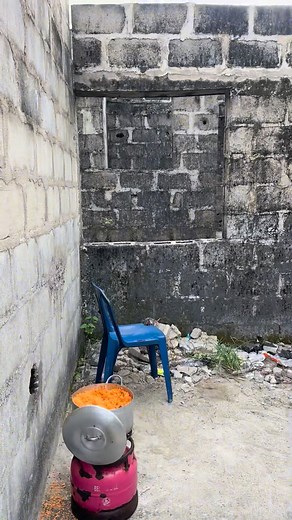 Security dog attack | Gentle justice