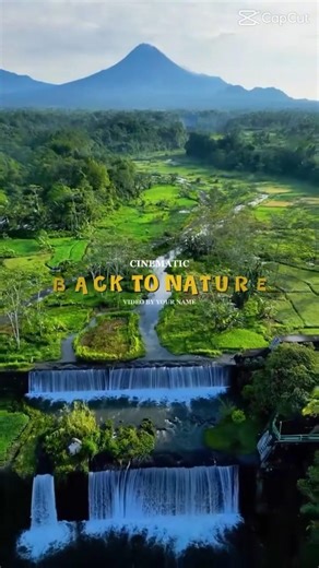 Into the deep green... 🎒✨nature #cinematic #reels #trending #naturelovers #earth