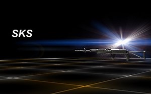 【CoD词条】使命召唤现代战争 SKS