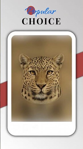 Leopard's Gaze in Photorealism