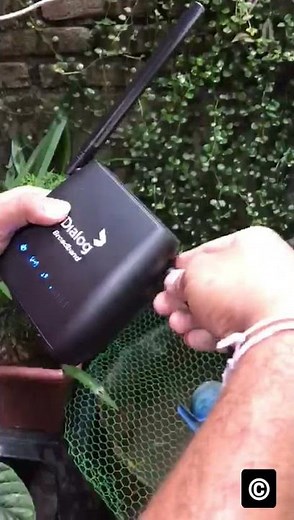 Dialog 4G S10 wi-fi router Yagi antenna connect