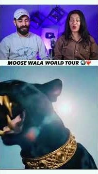 world toor sidho mosewala sing to go 🤔🤔🤔🤔