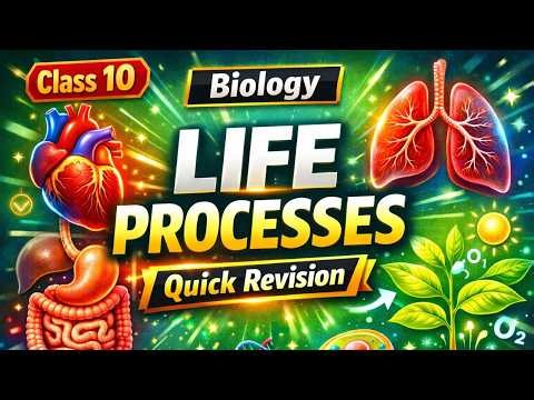 Class 10 Biology – LIFE PROCESSES Full Chapter Quick Revision |NCERT Board Exam 2026 ‪@Gradebooster‬