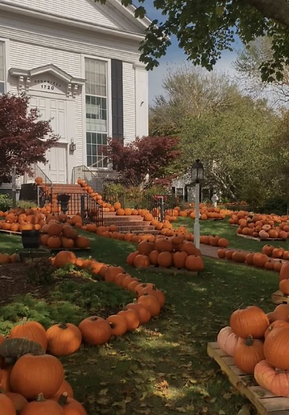 Chatham MA Travel Guide: Visit the Cape Cod Town Like Stars Hollow