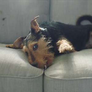 4.7K reactions · 451 shares | Perfectly engineered.Unlike any other. | Dyson | Facebook