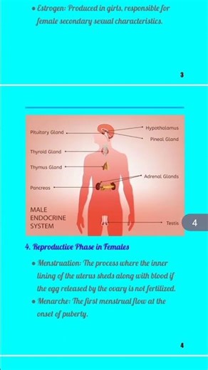 Class 8 Science: Reaching the Age of Adolescence | Easy Notes PDF in Comments! 🧬 #EasyNotesAcademy