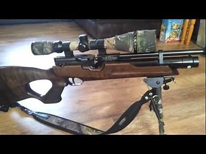 Weihrauch hw100 review