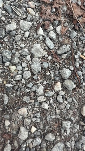 food_going_worse (@food_going_worse)’s videos with original sound - food_going_worse