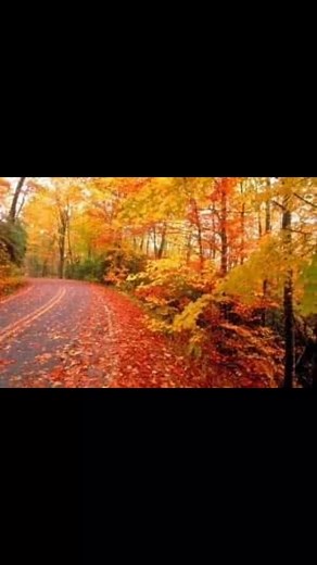 Joshua A. Kingsley Ph.D. on Reels