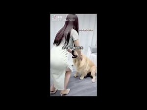 香香公主和爱犬九部曲