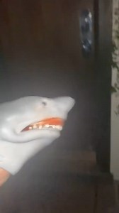 7.9K views · 175 reactions | STUDIO! @mikegonsolin | The Shark Puppet | Facebook
