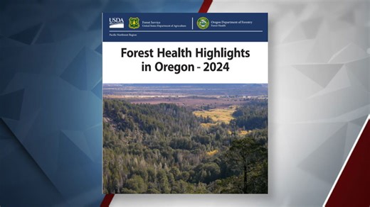 Drought, beetles and tree disease still biggest threats to Oregon's forests, latest aerial survey finds