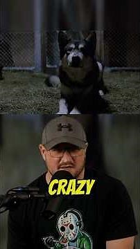 You Think It’s Just a Dog… Until This Happens 😱❄️