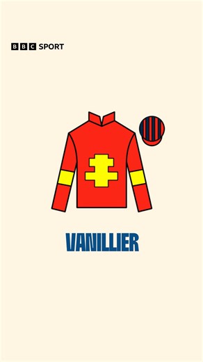 Who've you got in Saturday's Grand National? Take a screenshot from the list of runners below and it could be your lucky day! | BBC Sport