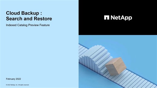 Cloud Backup - Search and restore | NetApp Video