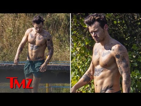 Harry Styles Shows Off Ripped Body in English Duck Pond | TMZ TV