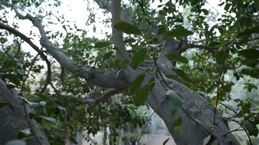 Home. Not Alone (2023) Welcome to the movies and television