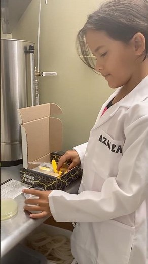 Slime mold science kits