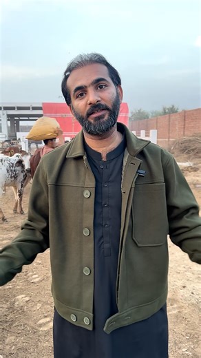 The Secret to Truly Organic Milk? It Starts with Pure Fodder!" 🌿🐄 Remember a time when milk tasted richer, and you knew exactly where it came from? At ARB Farms, we're bringing that purity back. Imagine this: Our animals are fed the same natural, wholesome fodder their ancestors grazed on 100 years ago. No chemicals, no artificial additives, just nature's best. 🌱 Why? Because happy, healthy animals give truly pure, organic milk – the way nature intended! . . . . . . . . . . . . . . #organicfe