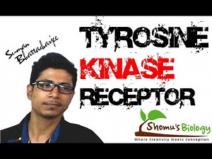 Tyrosine kinase (receptor tyrosine kinase)