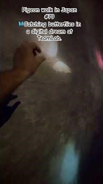Pigeon walk in Japan #79.#japan #travel #butterfly#viral #trending #youtubeshorts #shorts #video #yt