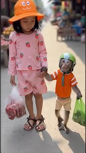 Shopping day monkey | Monkey Sora US