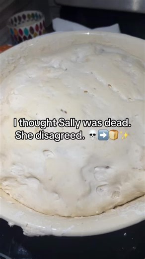 I swear my sourdough starter Sally comes back stronger when I neglect her just a bit 😂 Every time I think she’s done for, I feed her and she doubles like nothing happened. Fermentation is unhinged, resilience is real, and Sally clearly likes a little struggle in her backstory. #sourdoughstarter #sourdoughtok #breadtok #fermentation #fromscratchbaking