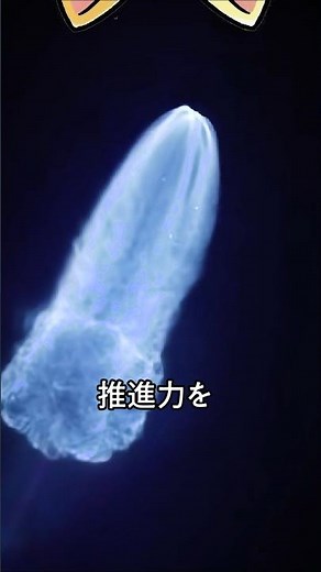 Why do rockets use two types of fuel?