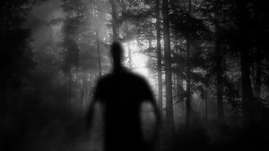 Download Male Silhouette Walking In Forest for free