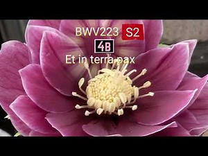 BWV232- 4a,4b Soprano2 Chorus Practice With Machine Voice 逐語訳付き 合唱 ソプラノ2 音取り音取りと実践 バッハ ロ短調ミサ曲