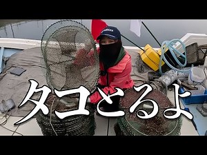 今年初の籠漁で蛸取り大成功！