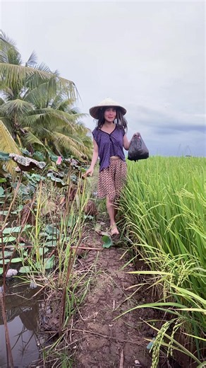 Em Gái Miền Tây 700 – Bản Gốc Em Gái Miền Tây đt